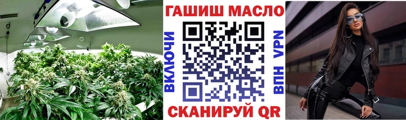 ТГК гашишное масло  Купить закладки  Терек 