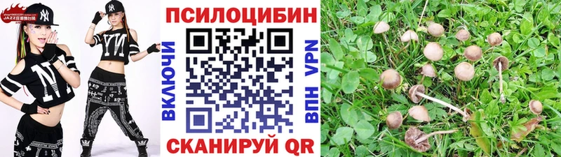 Галлюциногенные грибы Psilocybine cubensis  Купить закладки  Терек 